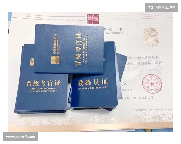 跆拳道培训市场规范化发展，专业教练认证体系逐步完善